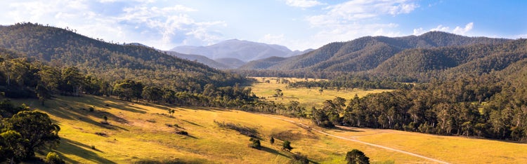 Expert guides and resources