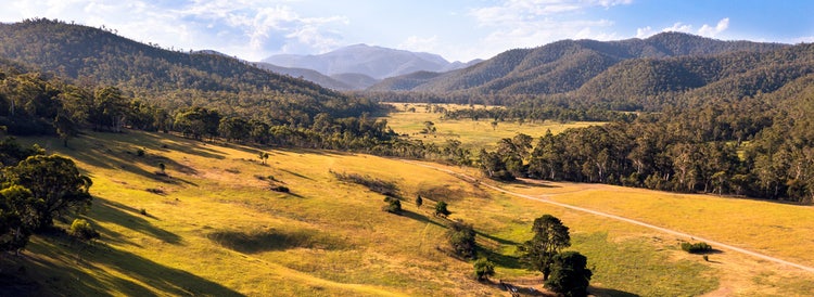 Expert guides and resources