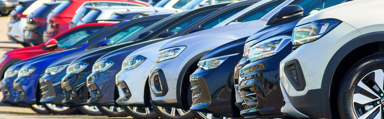 Expert guides and resources