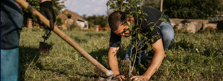 Expert guides and resources