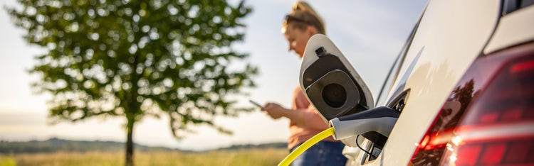 Expert guides and resources