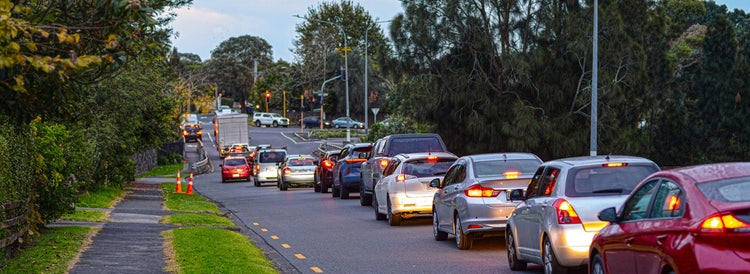 Expert guides and resources