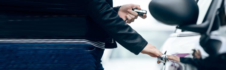 Expert guides and resources