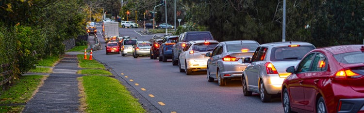 Expert guides and resources